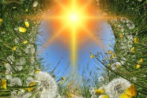 Bőség szeminárium - mironseminars.eu